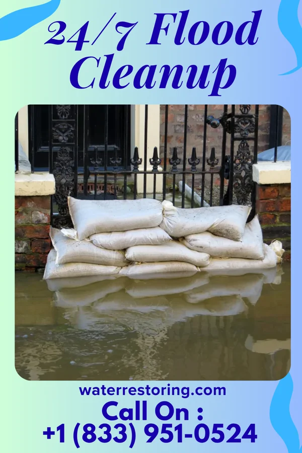 24/7 Flood Cleanup in Stokesdale, NC