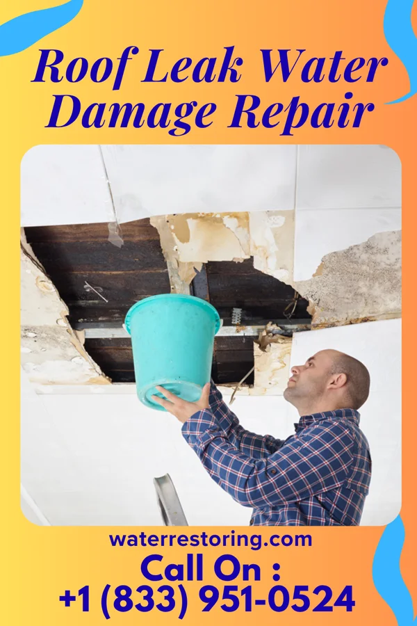 Roof Leak Water Damage Repair in Stokesdale, NC